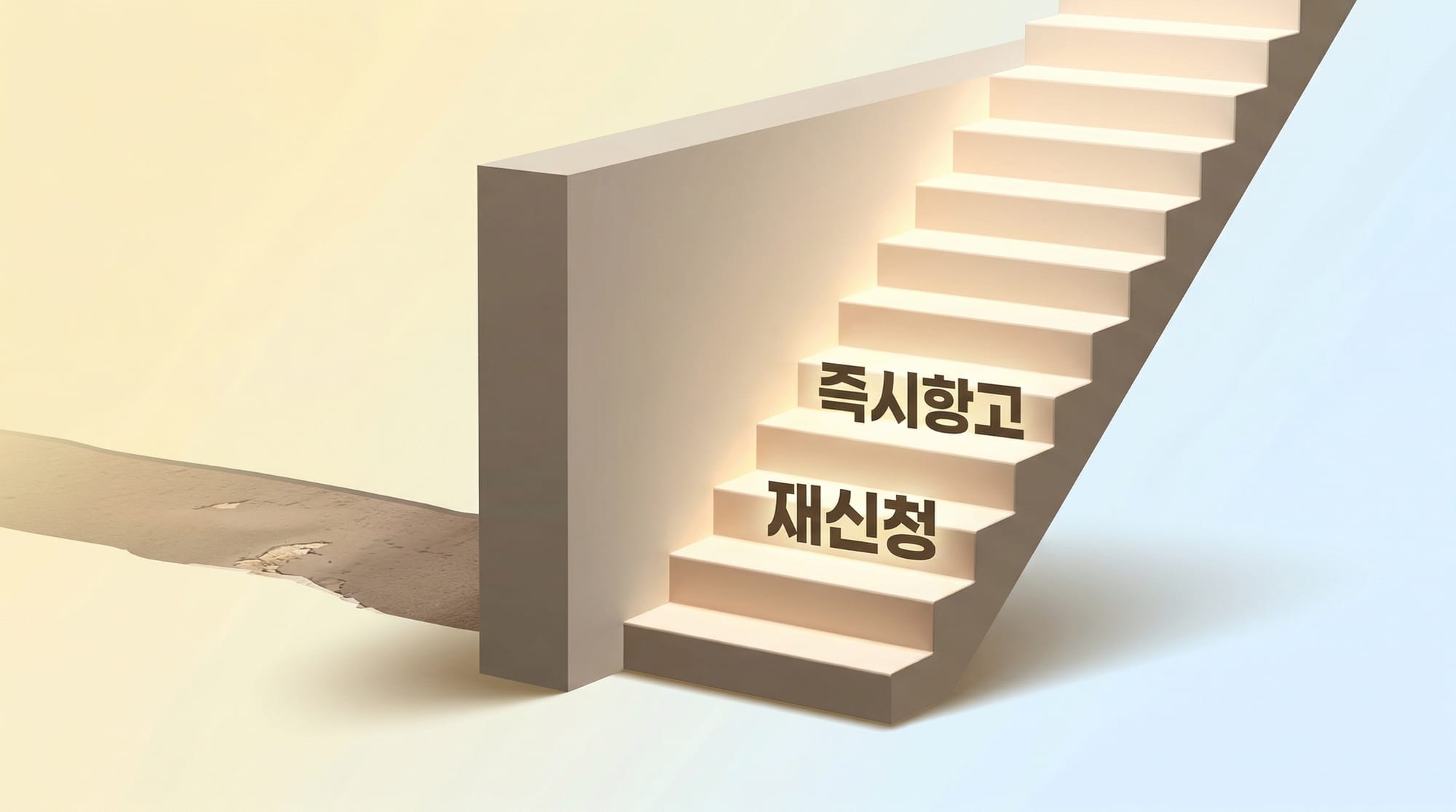폐지 결정 후 즉시항고와 재신청 희망 도식